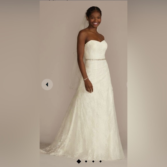 David’s Bridal Wedding Dress - Picture 1 of 8